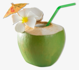 Coconut Png - Coconut