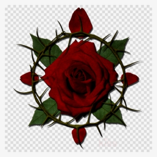 Rose With Thorns Clipart