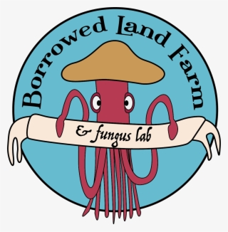 Pink Oyster Grain Spawn Borrowed Land Farm And Fungus - Pleurotus Djamor