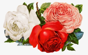 Roses For Scrapbooking Png - Flowers Roses Png