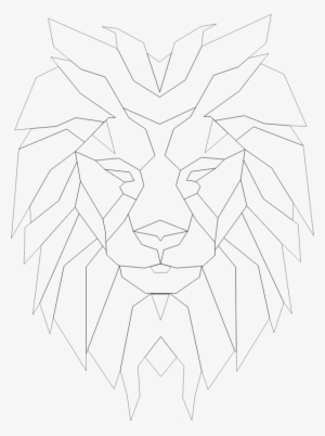 Lion Head Png Hd Transparent Lion Head Hd - Line Art