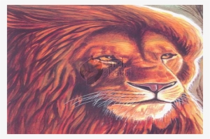 Lion Painting - Masai Lion