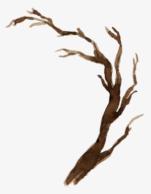Watercolor Branch Material - 樹枝 素材