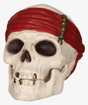 3d Pirate Skull Decor - Pirates Of The Caribbean - Pirate Skull