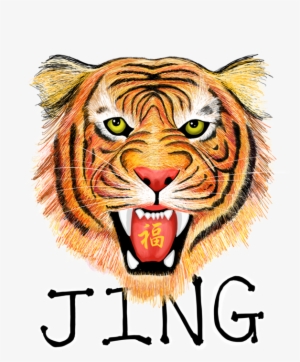 Jingtiger - Portable Network Graphics