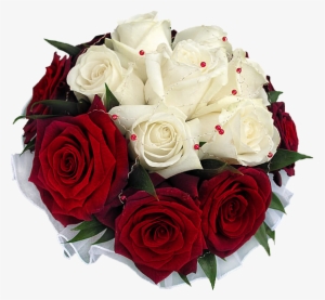 Vector Royalty Free Download Bouquet Transparent Rose - Bouquet Red Rose Png