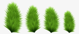 Tree Branches Png