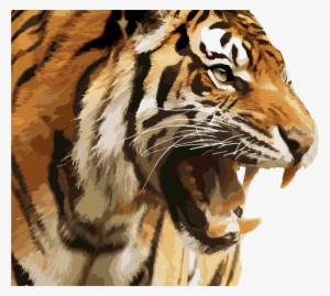 Tiger Illustration - Angry Tiger Face Png