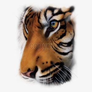 Deluxe Pics Of Animals To Draw Tiger Face Png - 79" X 96" Patriotic Tiger Faux Fur Luxury Throw Queen