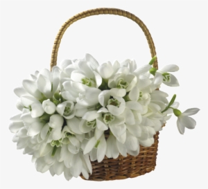 Elegant Basket Of Transparent Material - Basket With Flowers Png