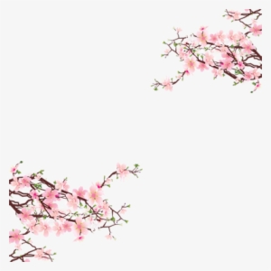 Nice And Cute Sakura Blossom Tree - Clip Art Of Cherry Blossoms