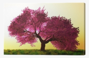 Mysterious Cherry Blossom Trees Canvas Print • Pixers® - Japanese Cherrie Blossom Tree