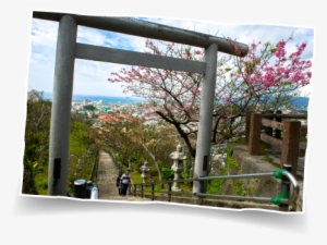 Okinawanago Park - Okinawa Prefecture