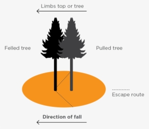 [image] Infographic Showing The Danger Zone And Escape - Tree