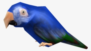 Blue Macaw - Budgie