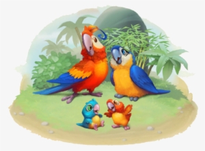Macaw Family - Macaw