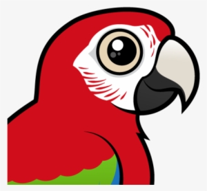 Red And Green Macaw Clipart Bird - Draw Cute Scarlet Macaw