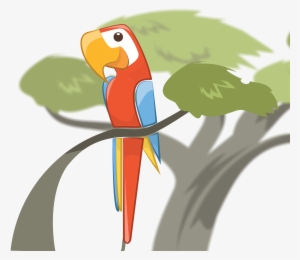 Macaw Software Logo - Macaw