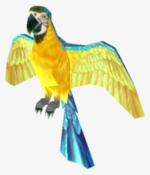 Download Zip Archive - Macaw