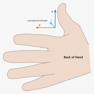 Thumb Orientation - Finger