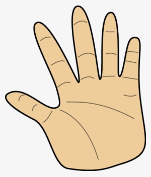 Back Of Hand Clipart - Hand Clipart Transparent