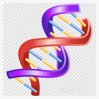 Double Helix Dna Clipart The Double Helix - Double Helix Dna Structure  Transparent PNG - 900x900 - Free Download on NicePNG