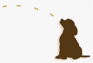 A Positive Approach To Dog Training - Illustration