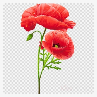 Poppy Flower Clipart Poppy Flower Vase With Red Poppies - Artistic Red Poppies Throw Blanket