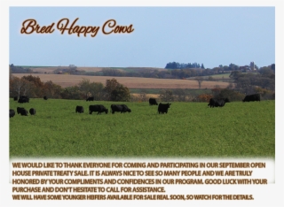/images/2016/10 24 16/2015 cows 003 edited 1 - fernvale angus farms