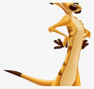 Timon Png