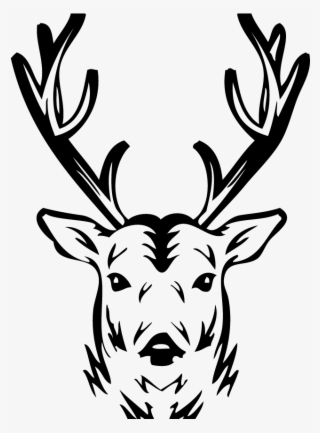 Hunters Classifieds - Elk