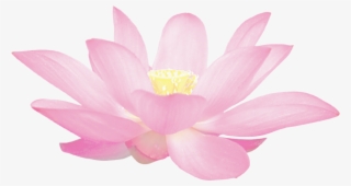 Clip Art Lotus Flower Pattern - Hoa Sen Phat Giao