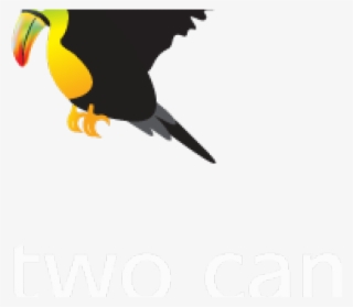 Toucan Clipart Flying - Toucan