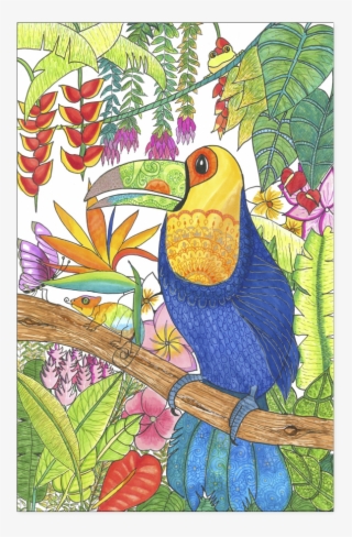 Tropical Toucan - Poster - Art