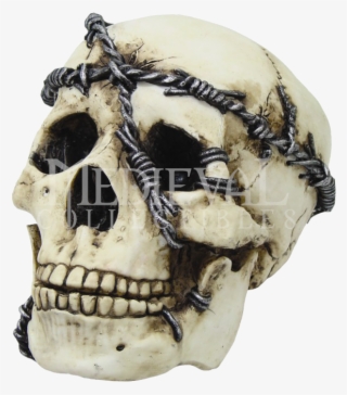 Skull With Barbed Wire - Skulls And Barbed Wire