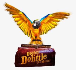 Christopher Renshaw - Cast Of Doctor Dolittle Musical