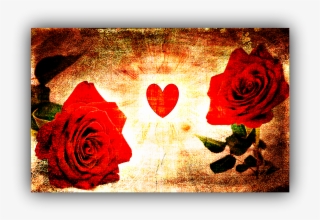 Red Heart Roses, Is Created With A Valentine Theme