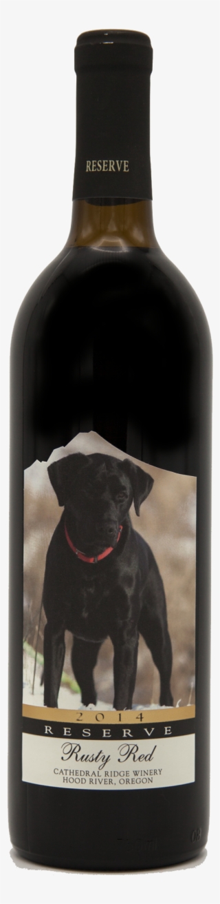 Black Lab