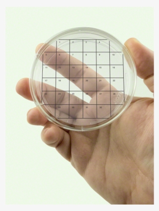 Petri Dish Stickers - Fungi Perfecti Llc