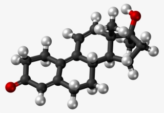 Metribolone Molecule Ball - Estrogen 3d Model