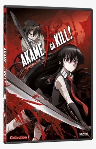 Cover Anime Akame Ga Kill