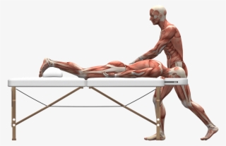 Wdt Emoji Bundle - Fisioterapia Para La Escoliosis
