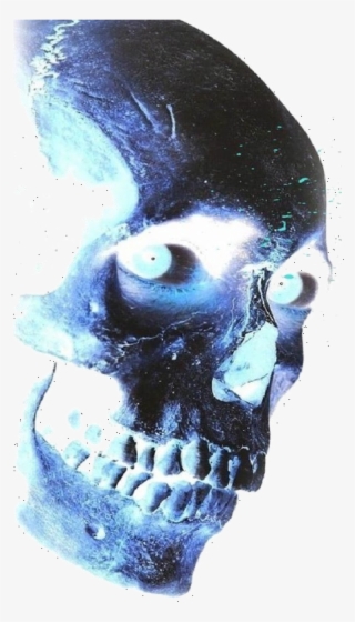Skull4 - Skull