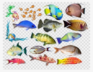 Маленькие Рыбы Рисунок Clipart Fish Drawing Clip Art - Totally Human: Why We Look And Act