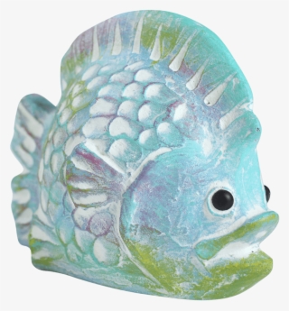 Rainbowfish Multicolor