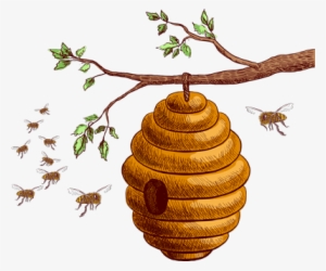 Honey Hive Png - Honey Bee Hive Png