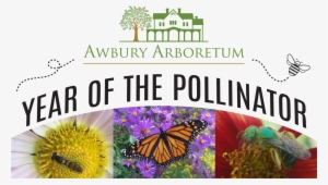 Year Of The Pollinator Series - Television Show