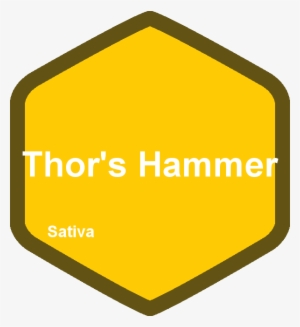 Thor's Hammer - Education