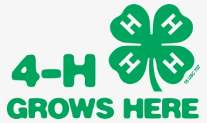 4-h Grows Here, Color, Png - Public Speaking 4 H