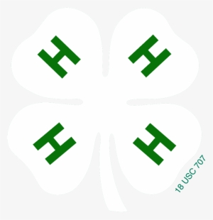 4 - 4 H Logo White